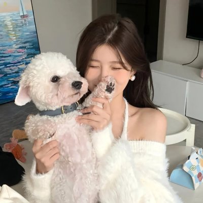 没有同情